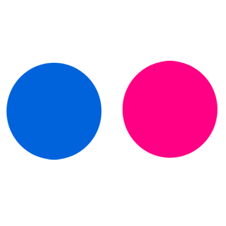 Flickr Logo